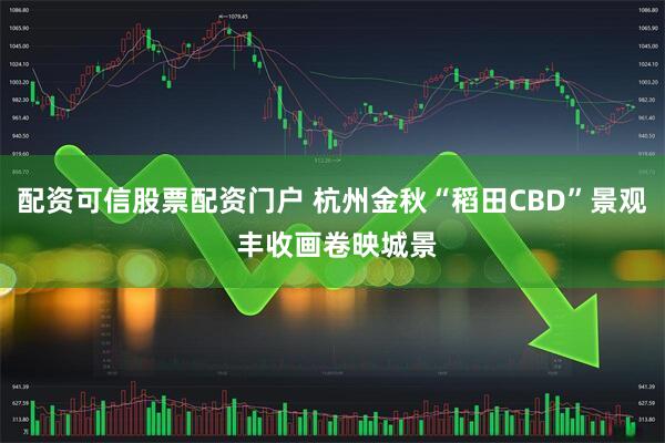 配资可信股票配资门户 杭州金秋“稻田CBD”景观 丰收画卷映城景